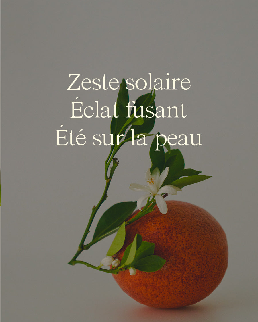 Skin Renewal Cream | Le Sud, la Nuit